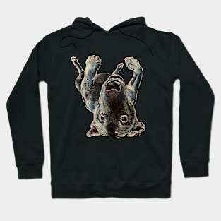 Upside Down Creeper Bull Terrier Hoodie